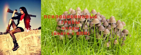 кокс Алексин