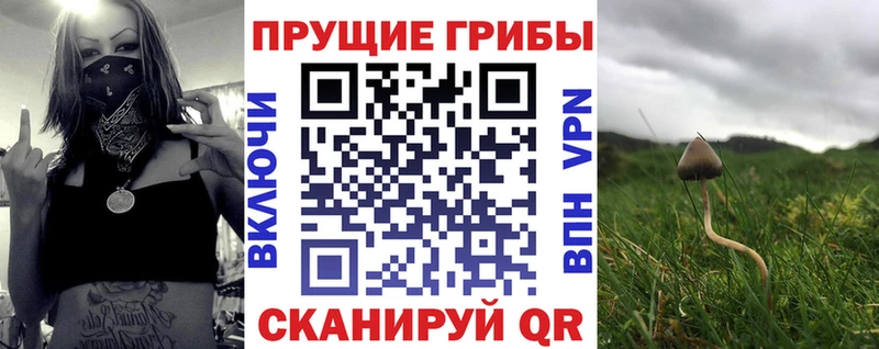 OMG рабочий сайт  где найти наркотики  Спасск  Галлюциногенные грибы мухоморы 